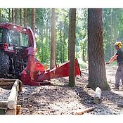 Fliegl Holzhacker BIG 150mm Häcksler Hacker