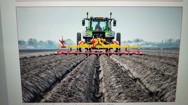 Grimme Zibo Dammformer Kartoffelhäufelgerät Kartoffelhäufler Kein 8 reihiger Grimme Dammformer mit 620 cm Rahmenbreite Reihenabstand bis 75 cm ideal zur Pflege mit den Häufelkörper zur Beikrautbehandlung hydr. Klappung 2 fach 4 reihig 6 reihig 8 reihig mit verst
