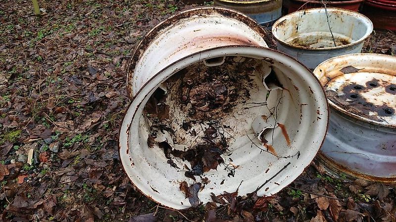 Zetor Horal Felge Neu