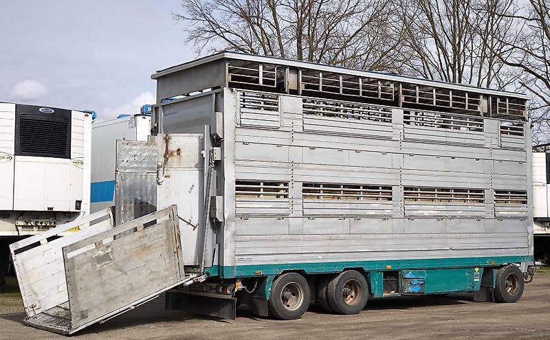 Pezzaiolli 2 Stock RBA31F ausfahrbares Dach